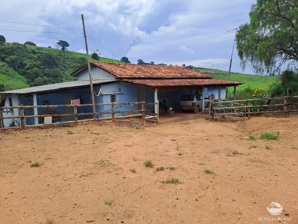Fazenda, 79 hectares - Foto 9