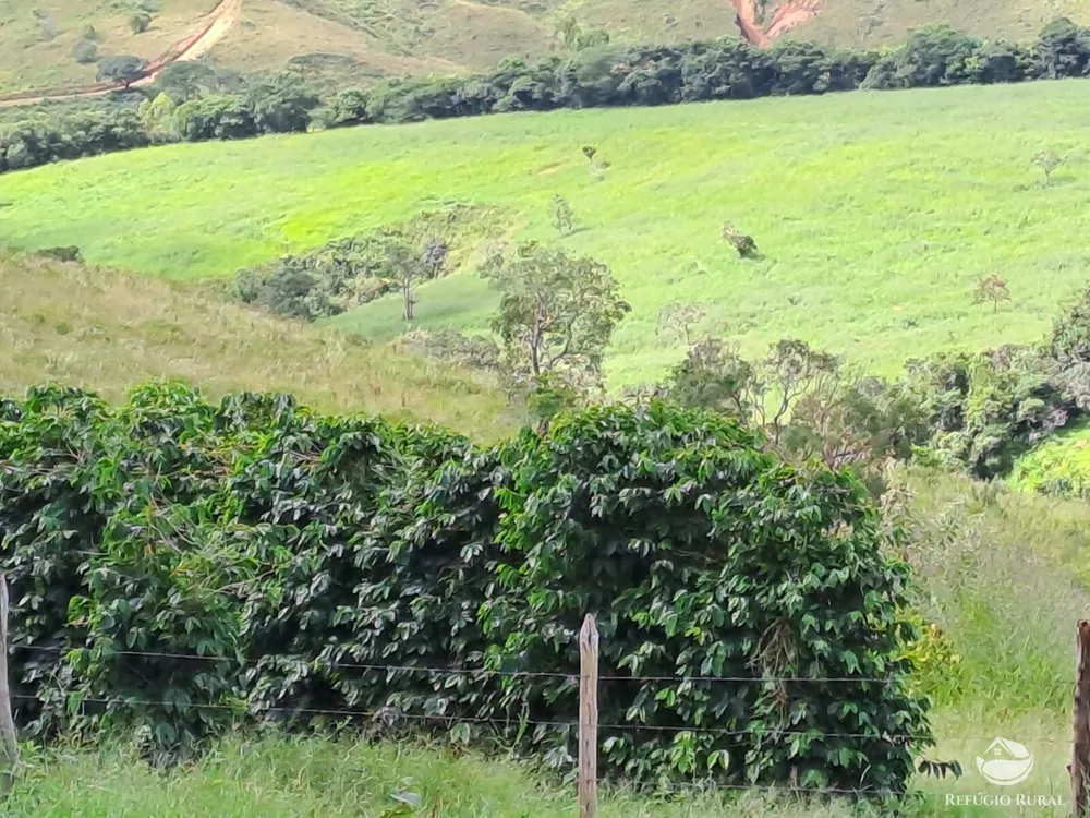 Fazenda, 79 hectares - Foto 4