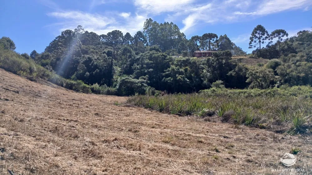 Chácara, 2 hectares - Foto 4
