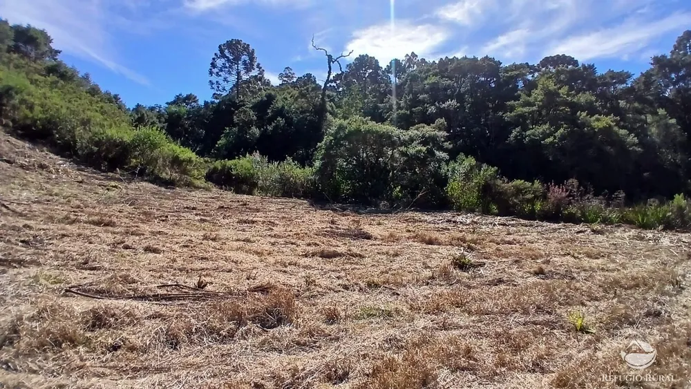 Chácara, 2 hectares - Foto 6