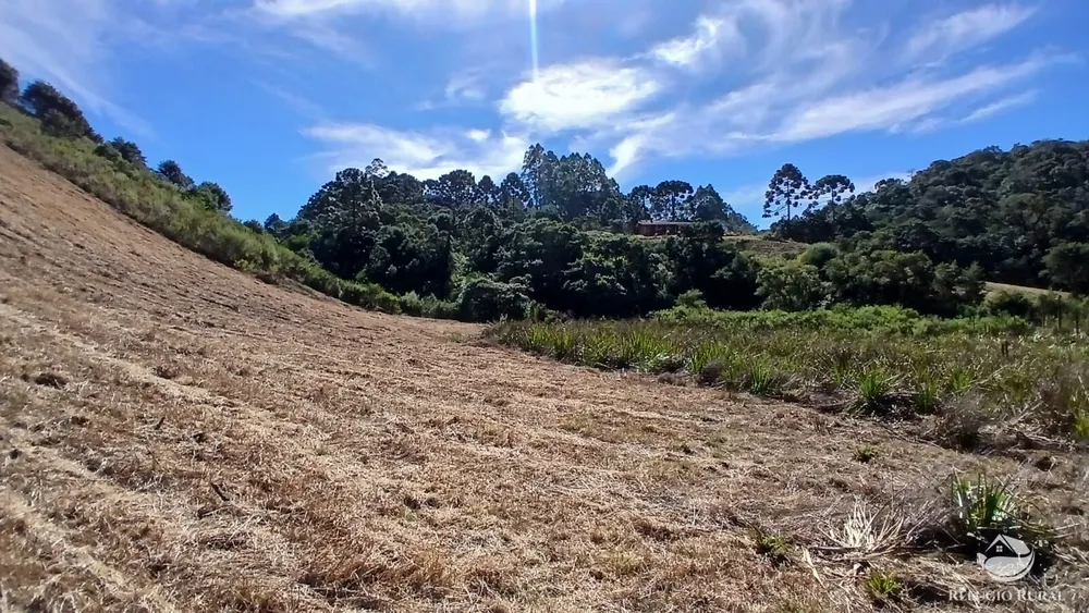 Chácara, 2 hectares - Foto 10
