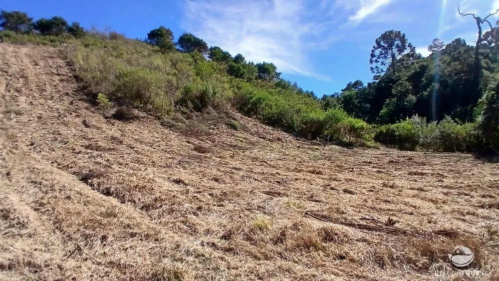 Chácara, 2 hectares - Foto 8