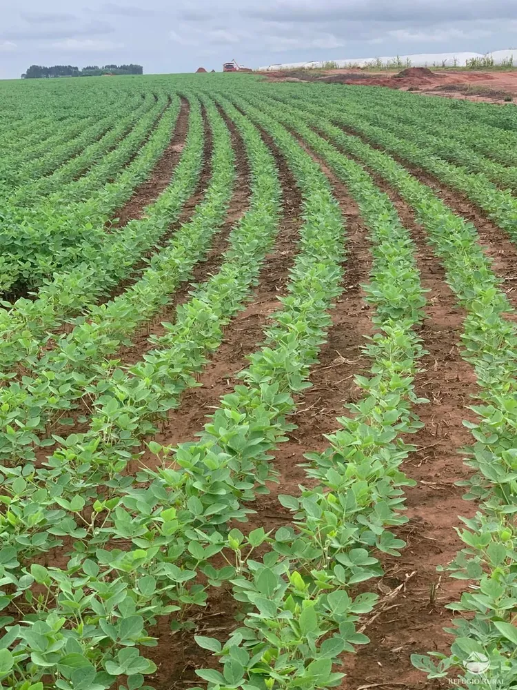 Fazenda, 4600 hectares - Foto 1