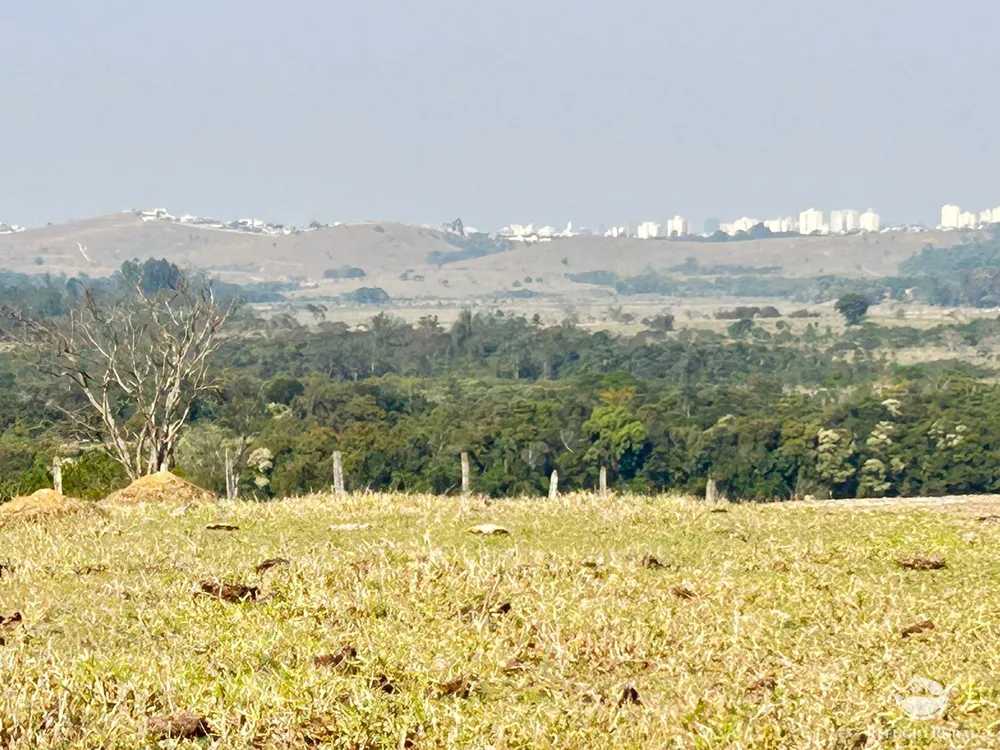 Sítio, 12 hectares - Foto 13