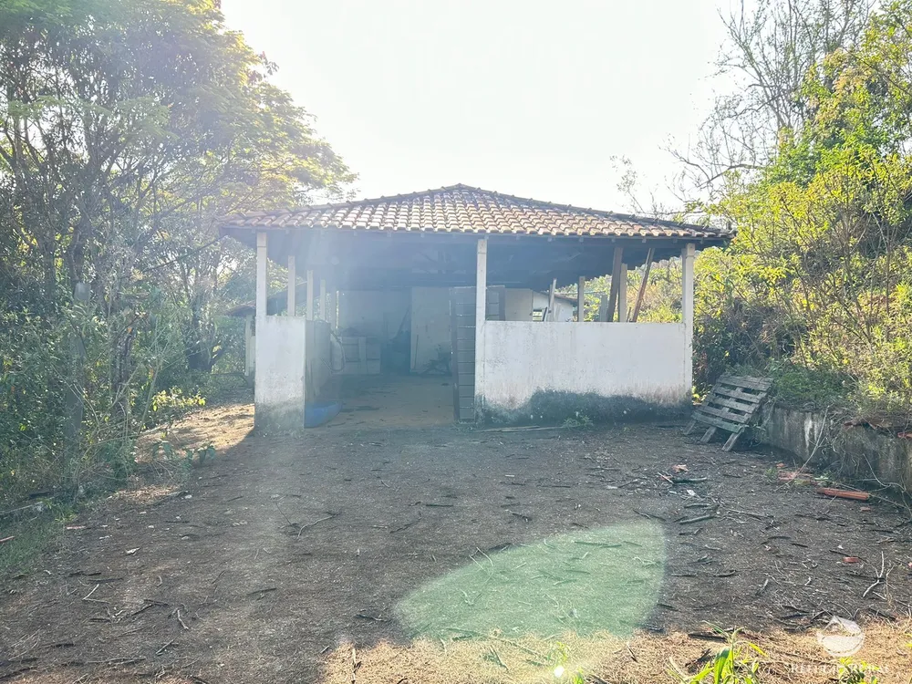 Sítio, 12 hectares - Foto 1