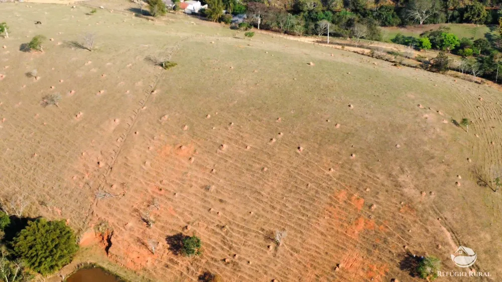Sítio, 12 hectares - Foto 4