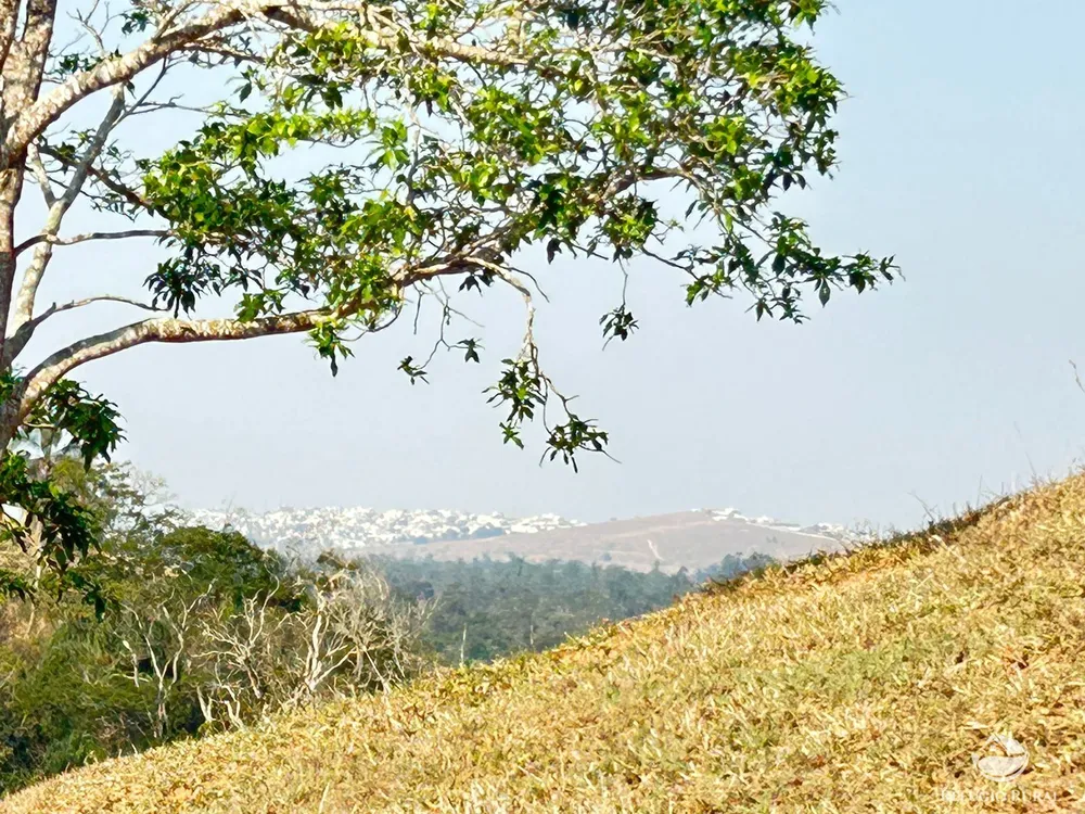 Sítio, 12 hectares - Foto 14