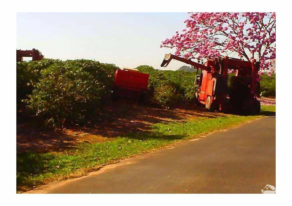 Fazenda, 2350 hectares - Foto 1