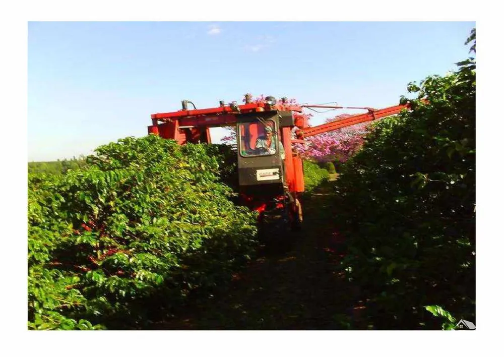 Fazenda, 2350 hectares - Foto 6