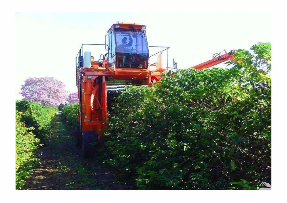 Fazenda, 2350 hectares - Foto 13