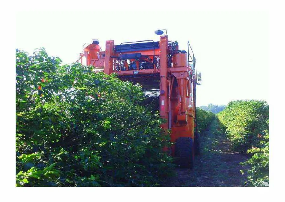 Fazenda, 2350 hectares - Foto 14