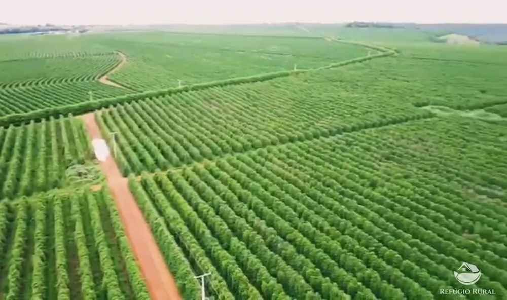 Fazenda, 390 hectares - Foto 3