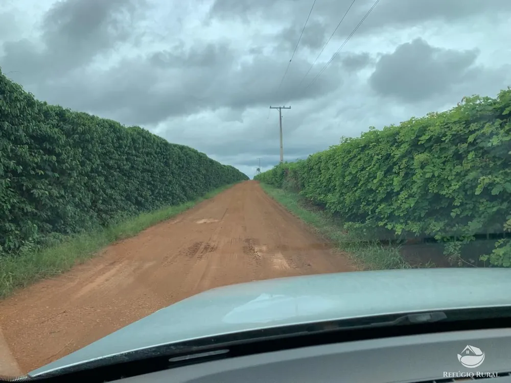 Fazenda, 390 hectares - Foto 1