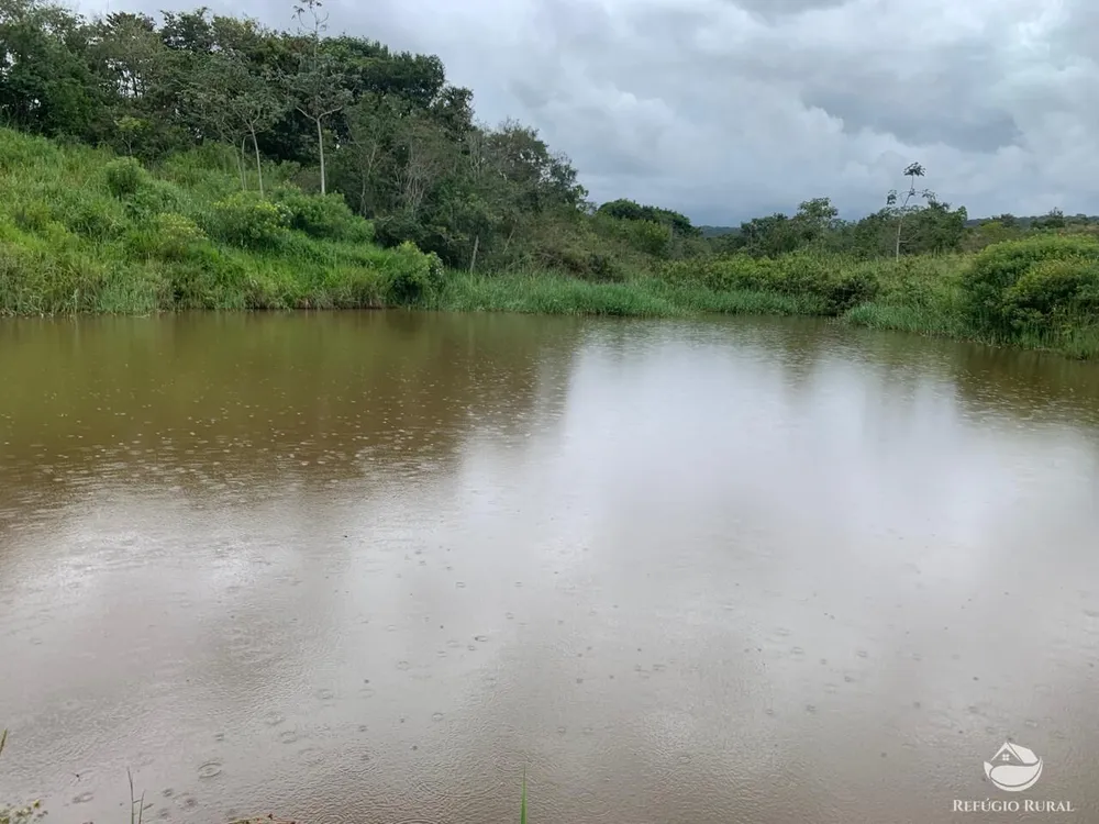 Fazenda, 390 hectares - Foto 2