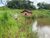 Fazenda-Sítio-Chácara, 390 hectares - Foto 3