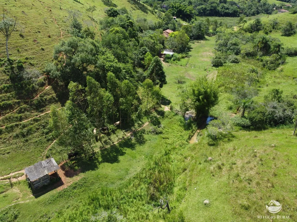 Sítio, 5 hectares - Foto 8