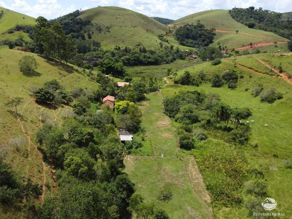 Sítio, 5 hectares - Foto 2