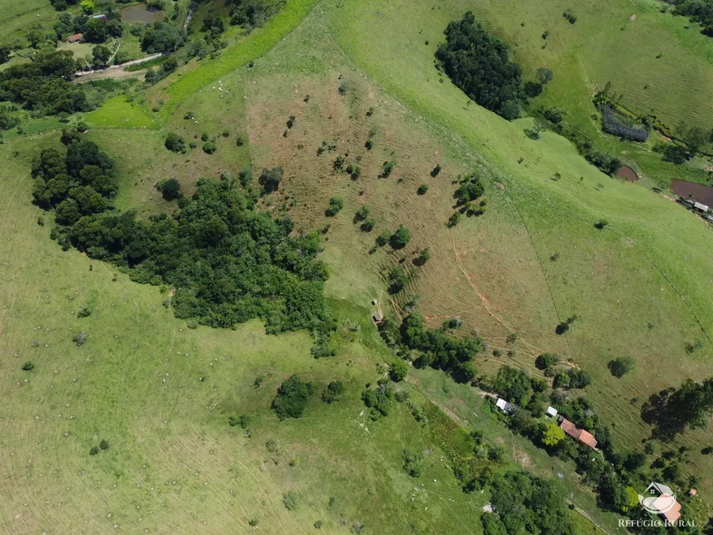 Sítio, 5 hectares - Foto 11