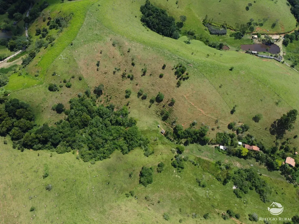 Sítio, 5 hectares - Foto 14