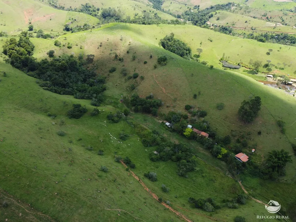 Sítio, 5 hectares - Foto 15
