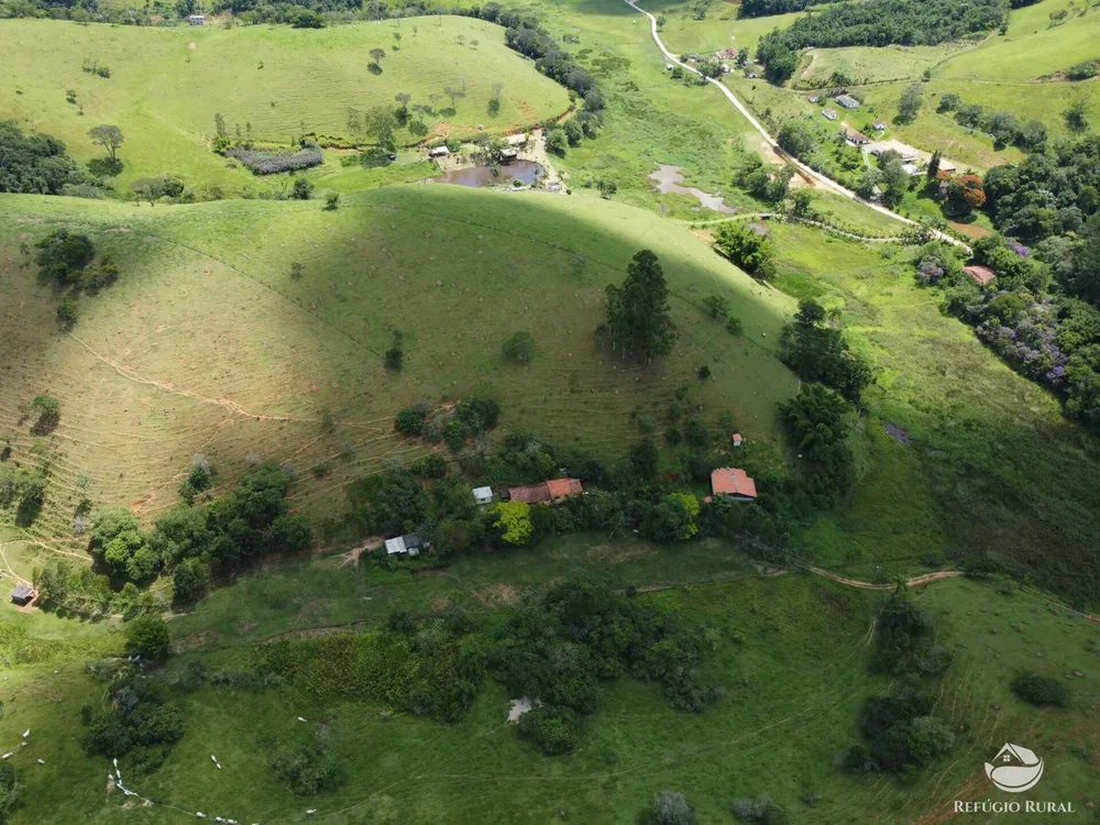 Sítio, 5 hectares - Foto 16