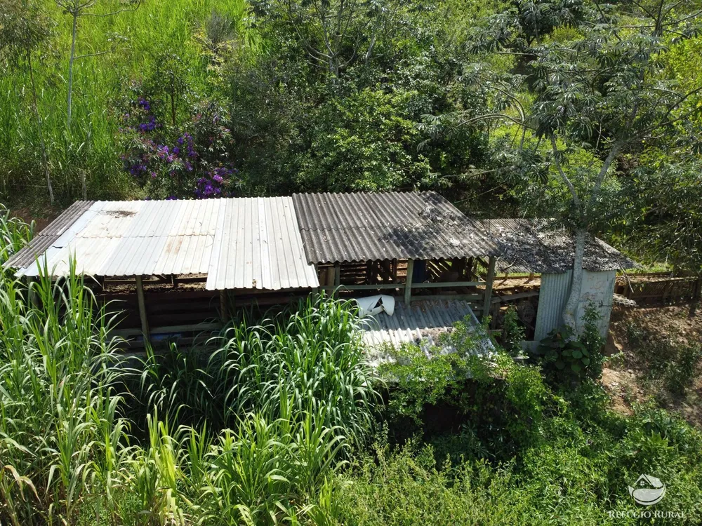 Sítio, 5 hectares - Foto 12