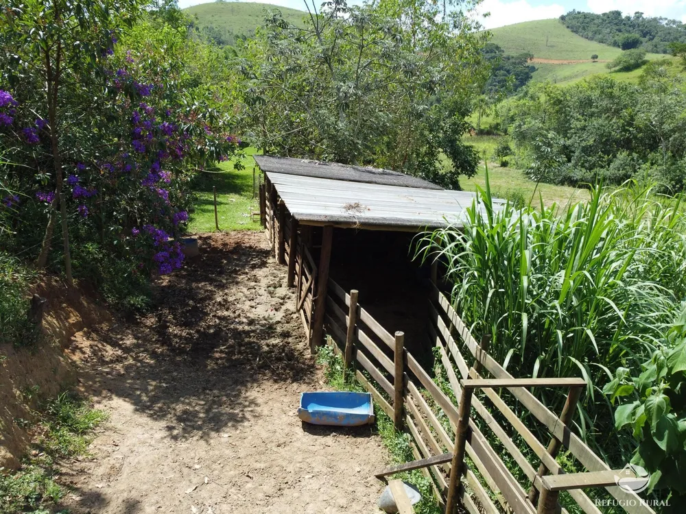 Sítio, 5 hectares - Foto 13