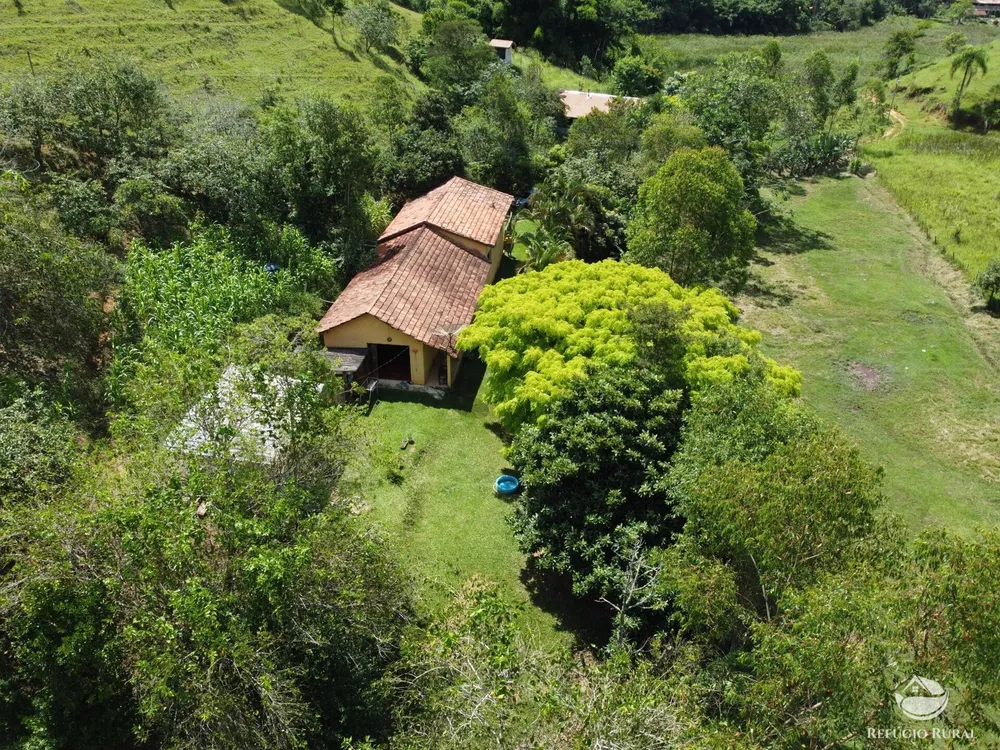 Sítio, 5 hectares - Foto 1