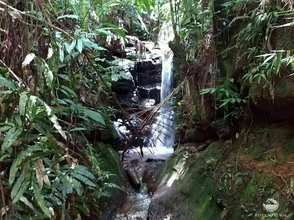 Sítio, 25 hectares - Foto 1