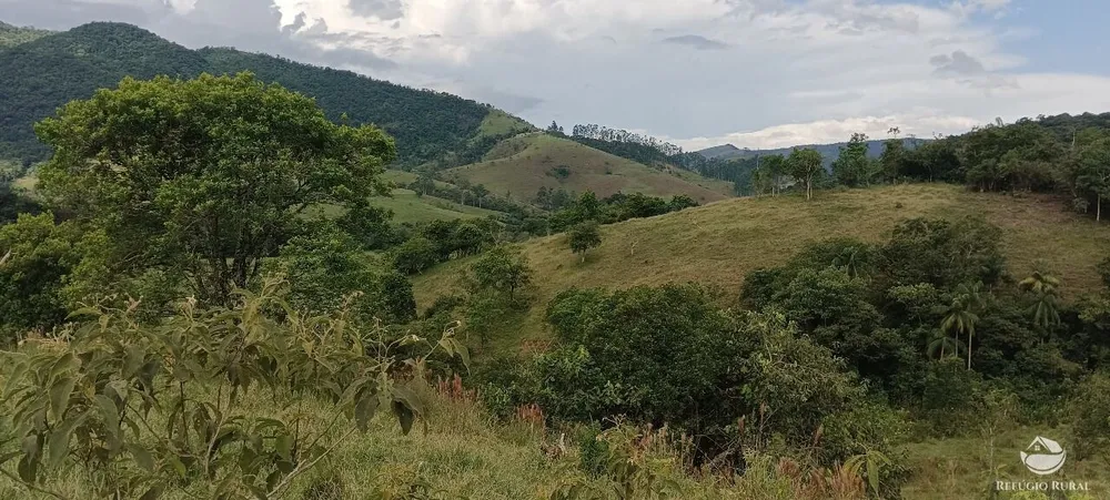 Fazenda, 170 hectares - Foto 7