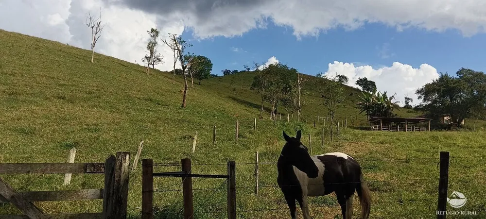 Fazenda, 170 hectares - Foto 2