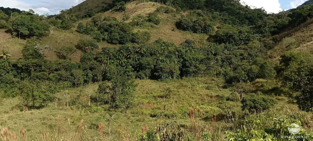 Fazenda, 170 hectares - Foto 13