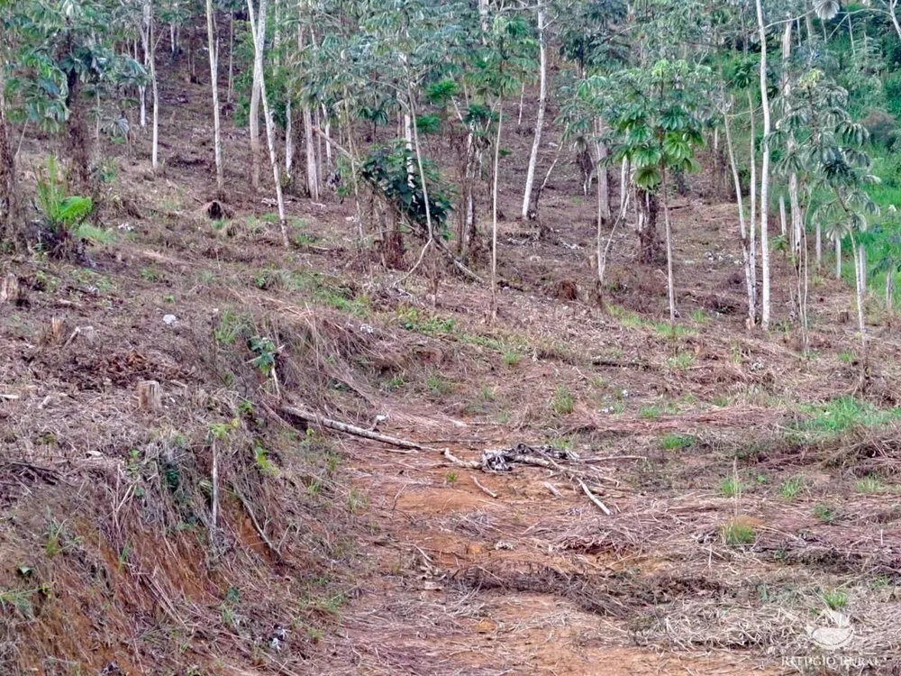 Terreno, 2 hectares - Foto 8
