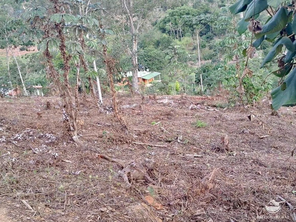 Terreno, 2 hectares - Foto 4