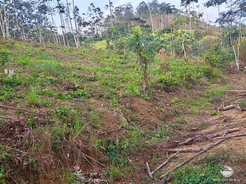 Terreno, 2 hectares - Foto 6