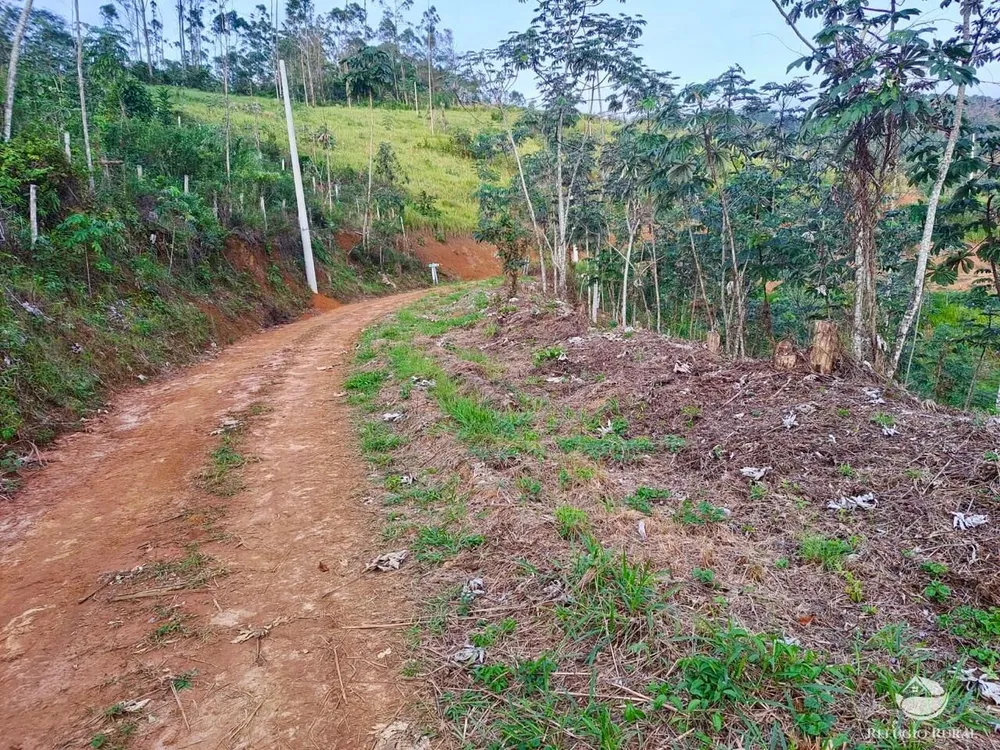 Terreno, 2 hectares - Foto 7