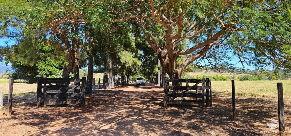 Fazenda, 208 hectares - Foto 8