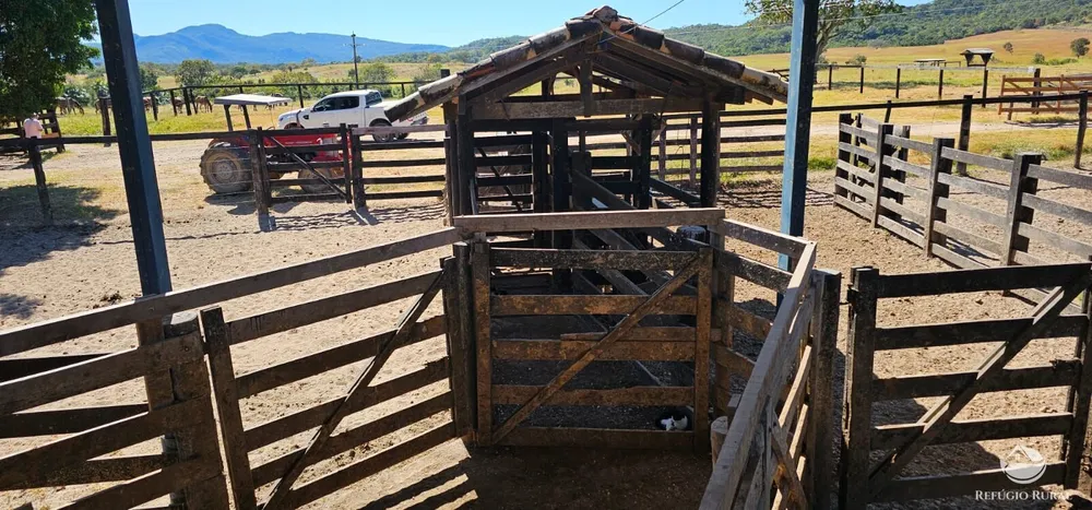 Fazenda, 208 hectares - Foto 10