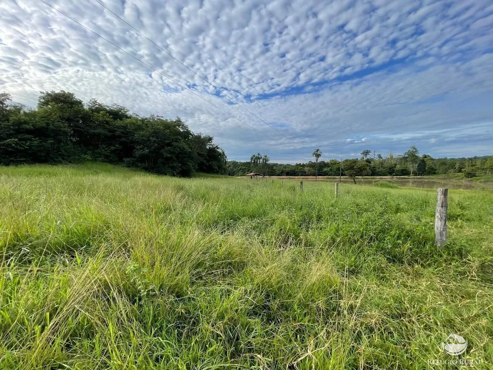 Fazenda, 208 hectares - Foto 6