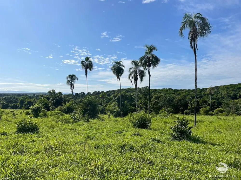 Fazenda, 208 hectares - Foto 7