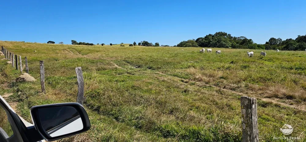 Fazenda, 208 hectares - Foto 12
