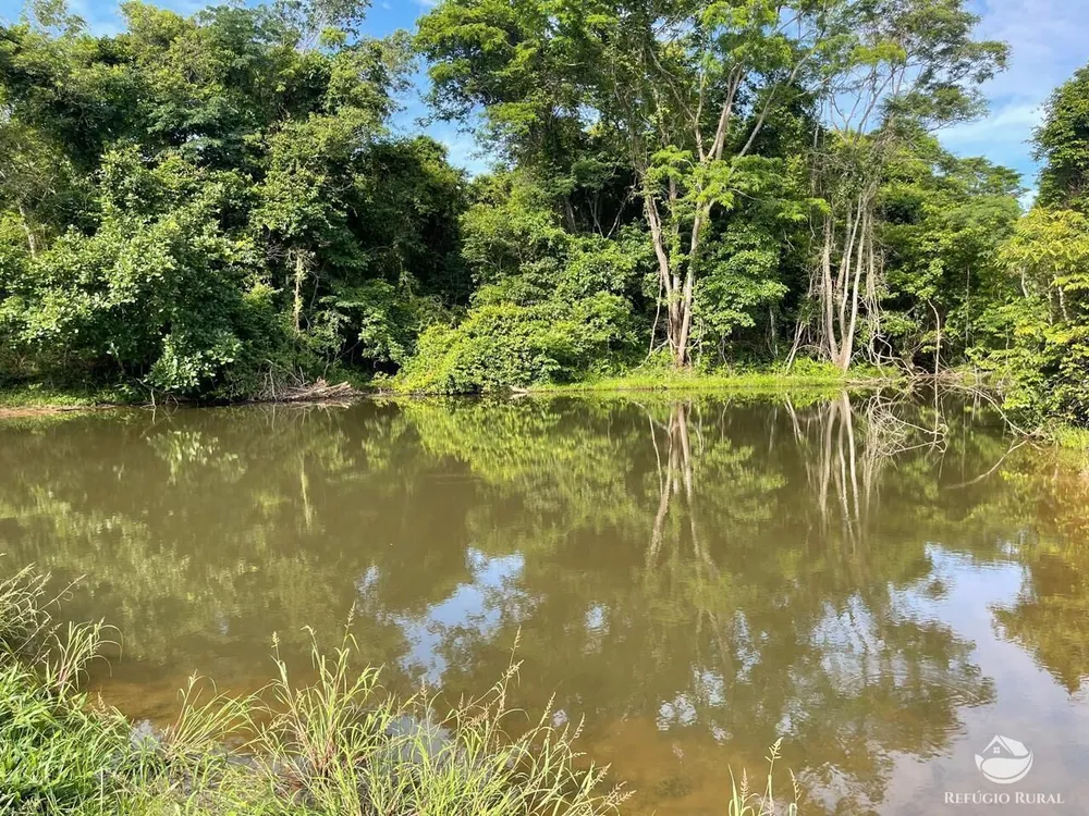 Fazenda, 208 hectares - Foto 3