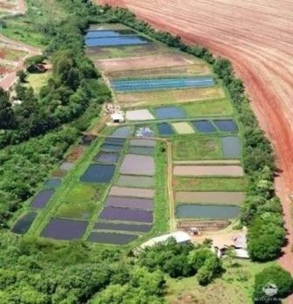Sítio à venda com 3 quartos, 387200m² - Foto 1