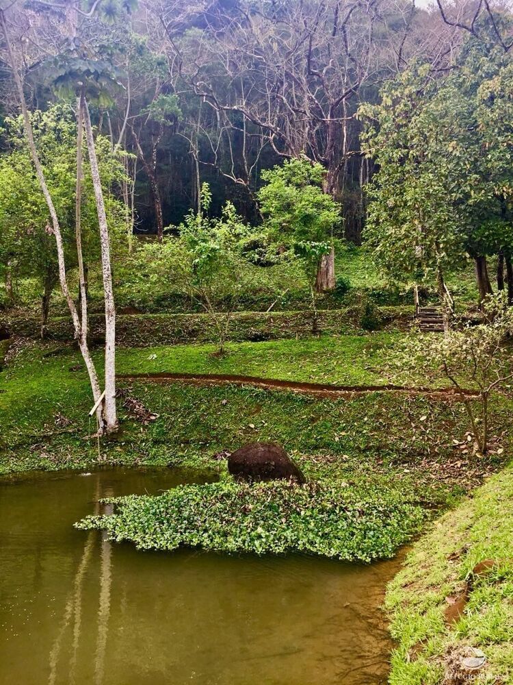 Sítio à venda com 2 quartos, 24200m² - Foto 20