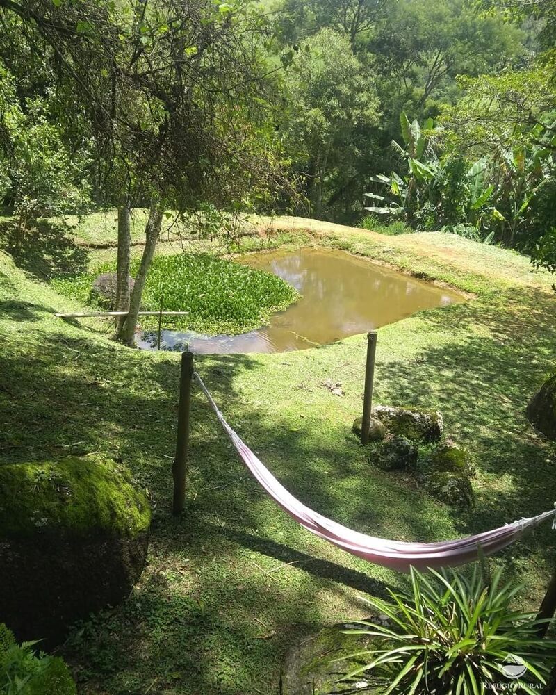 Sítio à venda com 2 quartos, 24200m² - Foto 30