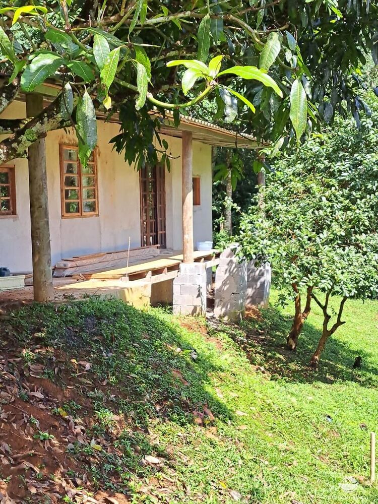 Sítio à venda com 2 quartos, 24200m² - Foto 4