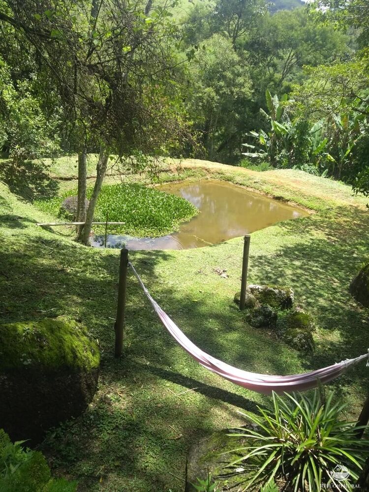 Sítio à venda com 2 quartos, 24200m² - Foto 9