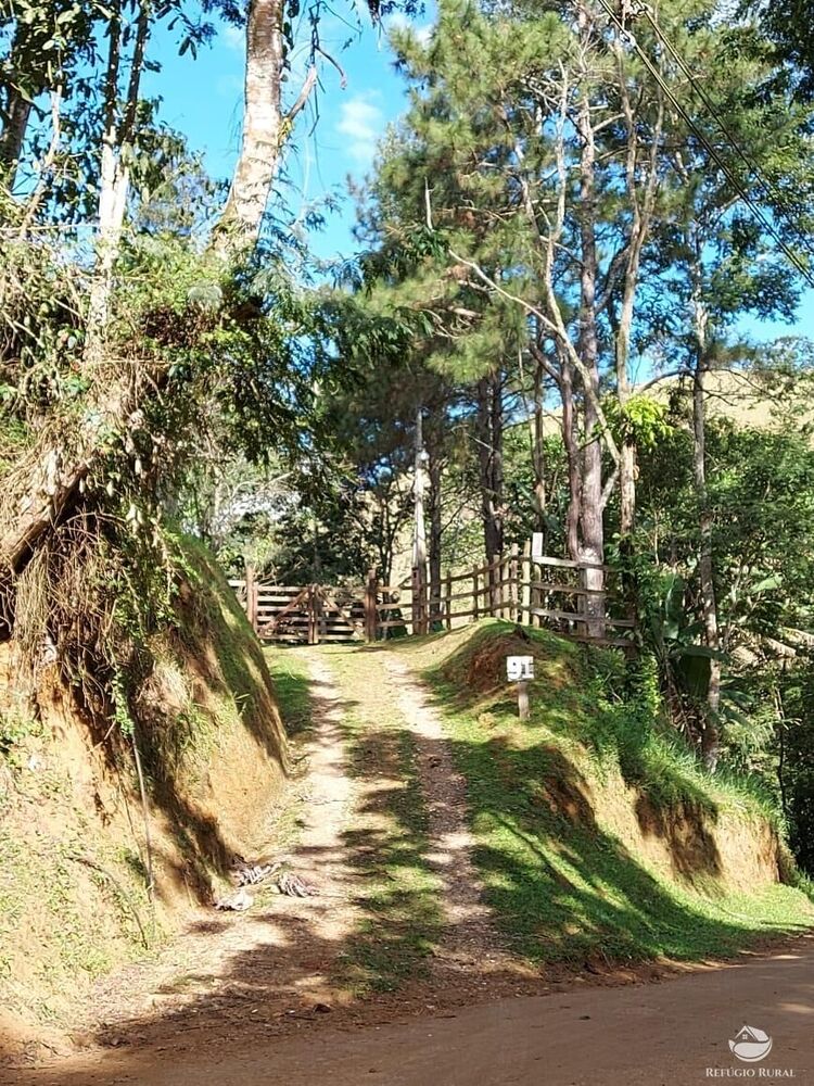 Sítio à venda com 2 quartos, 24200m² - Foto 23