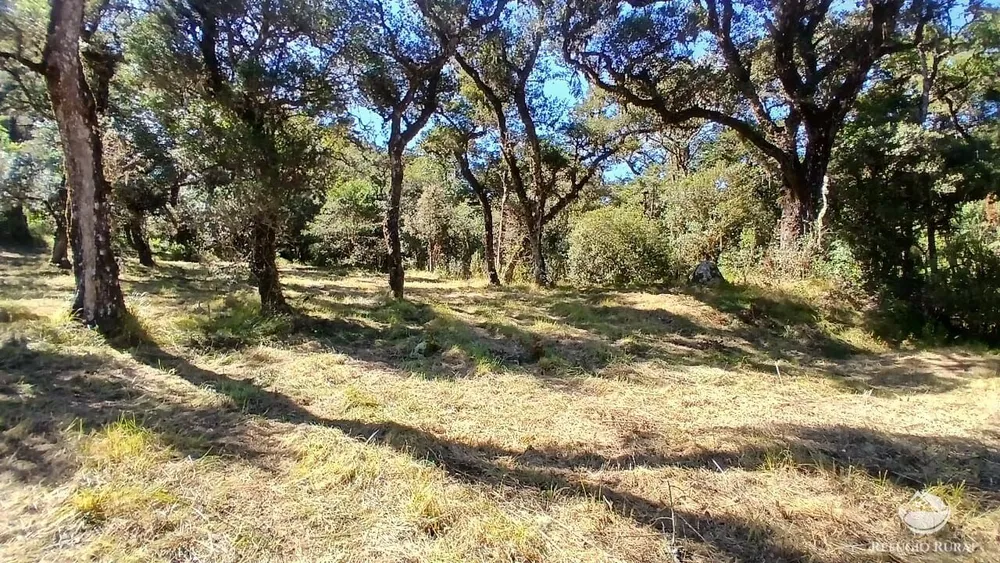 Chácara, 2 hectares - Foto 10