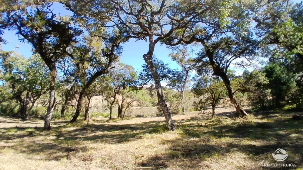 Chácara, 2 hectares - Foto 9